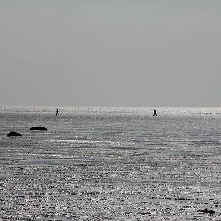 Appartement By The Sea Galmsbull